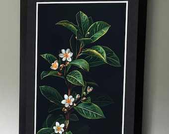 Tea Plant Illustrated Poster - Vintage Flower Wall Art - Rustic Floral Home - Vintage Tea Plant Art Print - Botanical Illustration