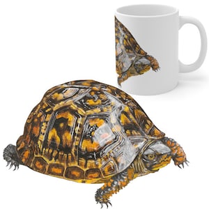 Rainy Day Box Turtle Mug