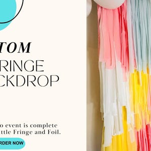 Benutzerdefinierte Fringe Backdrop, Party Dekor, Luftschlangen, Geburtstagsfeier, Fringe Wand
