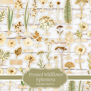 Peut inclure: Une collection d'éphémères de fleurs sauvages pressées, présentant diverses fleurs et feuilles séchées dans des tons beige, marron et vert. Chaque élément botanique est fixé sur un fond en bois blanc avec de petites étiquettes en papier. L'image comprend le texte "Pressed Wildflower Ephemera" et "SASAKI PRINTS".