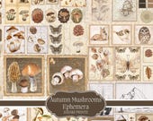 Summer Mushrooms Ephemera – Vintage Printable Junk Journal Kit, Mushroom Cards & Tags for Scrapbooking, Collage, DIY Crafts, Printable