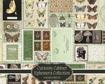 May include: A collage of vintage ephemera featuring butterflies, stamps, and postcards in shades of green, brown, and beige. The text "Curiosity Cabinet Ephemera Collection" is displayed. The overall theme is a vintage aesthetic.