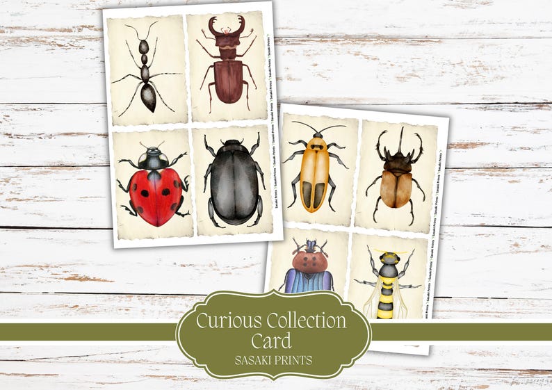 Curious Collection Cards Printable | Vintage Curiosity Cards | Junk ...