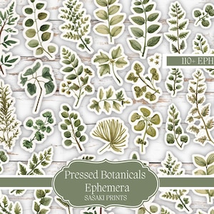 May include: A collection of botanical ephemera stickers featuring various green leaves and foliage. The stickers are arranged on a white wooden background. The text "110+ Ephemera" is visible, along with "Pressed Botanicals Ephemera SASAKI PRINTS".