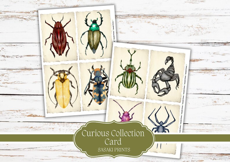 Curious Collection Cards Printable | Vintage Curiosity Cards | Junk ...
