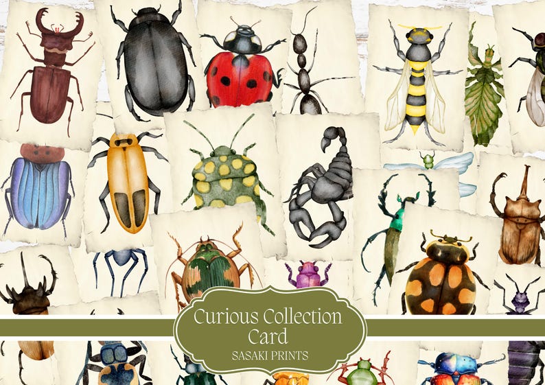 Curious Collection Cards Printable | Vintage Curiosity Cards | Junk ...