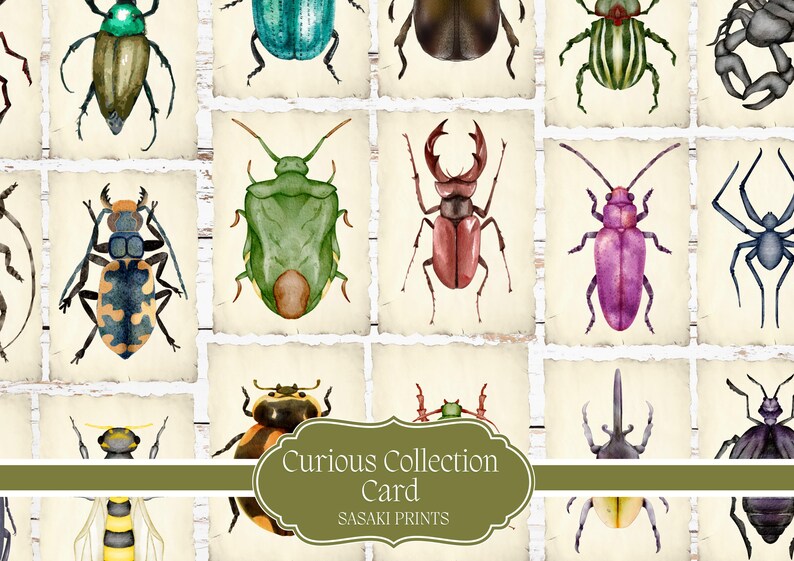 Curious Collection Cards Printable | Vintage Curiosity Cards | Junk ...