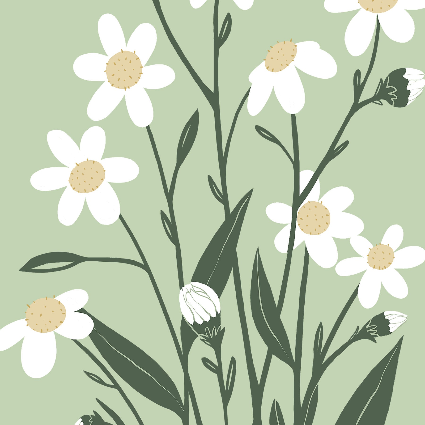 Sage Green Wall Art Daisy Printable Sage Green Aesthetic - Etsy