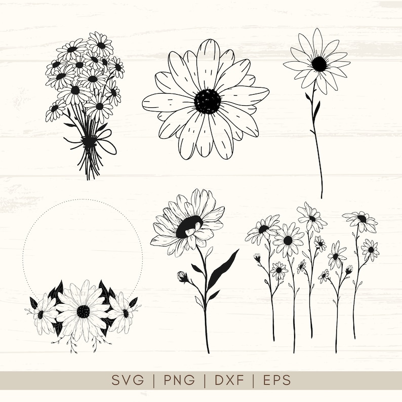 Daisy SVG | Daisy Svg Bundle | Wildflower Svg | Botanical svg | Daisy Flower Clipart | Floral Svg | Daisy Clipart | Birth Month Svg | Daisy SVG bundle comes with 15 hand-drawn designs. You can use them with Cricut, Silhouette, and other cutting machines. Perfect for mugs, tumblers, t-shirts, stickers, wall art, vinyl projects, cards, scrapbooking, tote bags. Available in SVG, PNG, EPS, and DXF formats. Can also be used as daisy clipart, invitation cards, greeting cards, posters, scrapbooks.