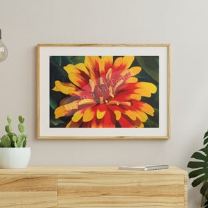 Mystic Flower Print