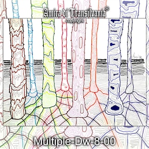 Waldzeichnung, botanische Wandkunst, einzeilige Landschaft, neutrales Aquarell, Wildwald, minimalistische Boho-Wanddekoration, Bäume
