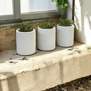 Set of 3 | Cement Pot with drainage | Modern Plant Pot | Indoor | Outdoor | Minimalist | Flowers Planter | Unique plants Pot | Succulent Pot