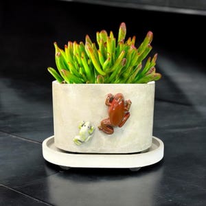 Flowers Planter | Concrete planter | Succulents Pot | Plants Pot | Cement pot | Christmas Gift | Minimalist Planter | Indoor Plants Pot