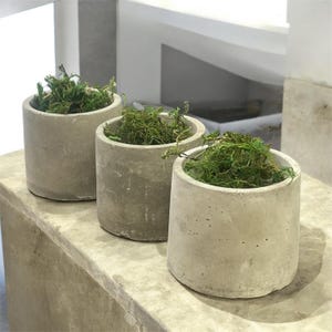 Set of 3 | Cement Pot with drainage | Modern Plant Pot | Indoor | Outdoor | Minimalist | Flowers Planter | Unique plants Pot | Succulent Pot