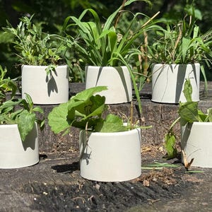 Set of 6 | Cement Pot with drainage | Modern Plant Pot | Indoor | Outdoor | Minimalist | Flowers Planter | Unique plants Pot | Succulent Pot