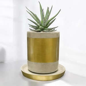 Blumen Übertopf | Beton Topf | Sukkulenten Pflanzer | Minimalistisch | Blumentopf | Ablaufloch | Mittlere Größe | Unikat Plante | Zementtopf