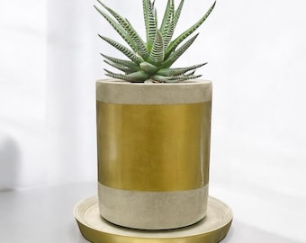 Maceta de hormigón para suculentas hecha a mano: Maceta minimalista de cemento para interiores