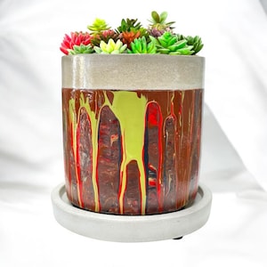 Jardinière succulente en béton faite main : design goutte à goutte multicolore, 4,5 po.