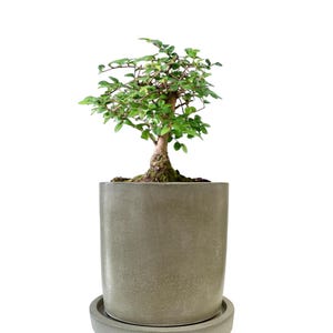 Blumen Übertopf | Beton Blumentopf | Sukkulenten Pflanzentopf | Minimalistischer Übertopf | Blumentopf | Ablaufloch | Mittelgroßer Übertopf | Geschenk