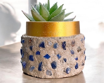 Può includere: Un vaso di cemento con un bordo dorato e dettagli in mosaico di vetro blu e bianco. Una pianta grassa sta crescendo nel vaso.