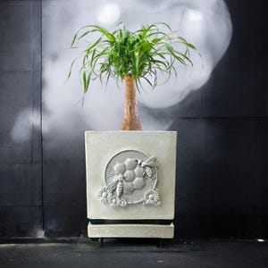Puede incluir: Una planta en maceta con hojas verdes y un tronco marrón grueso en una maceta cuadrada con una base elevada. La maceta está decorada con una escultura en relieve de un panal y abejas.