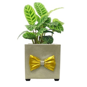Concrete Planter with Saucer | Cement Pot with drainage | Modern Plant Pot | Indoor Outdoor Minimalist Flowers container | Unique plants Pot