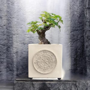 Concrete Planter with Saucer | Cement Pot with drainage | Modern Plant Pot | Indoor Outdoor Minimalist Flowers container | Unique plants Pot