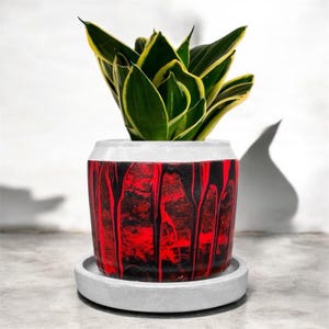 May include: A potted plant with green and yellow leaves in a red and black concrete planter with a matching saucer. The planter has a drip effect design.