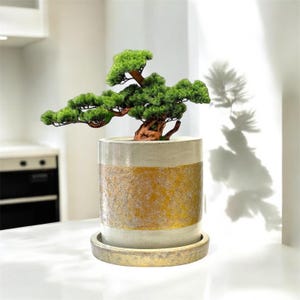 Concrete pot | Concrete flower pot | Indoor plant pot | Cement planter | Drainage hole Medium size Planter | Gift | Minimalist | Unique