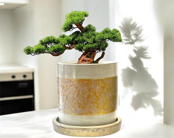 Handmade Concrete Planter: Medium Size Cement Pot with Drainage
