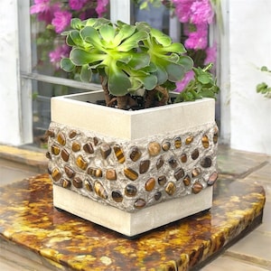 May include: A square planter made of concrete with a decorative border of tiger's eye stones. The planter is filled with a succulent plant.
