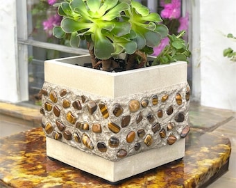 Handgemaakte betonnen plantenbak: sappige pot met steendetail