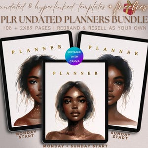 PLR Undated Digital Planner Bundle, Editable Life Journal Hyperlinked for Commercial Use, Digital Product DFY Planner Template Resell Rights