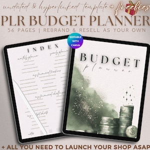 PLR Financial Planner Digital, Editable Budget Planner Commercial Use, Undated Printable Finance Planner, Money Planner Resell Template