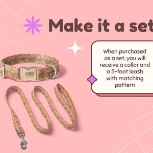 Vintage Floral Dog Collar Personalized, Custom Dog Collar with Name, Boho Floral Print Dog Collar, Collar Leash Set, Metal Buckle DC-069 image 4
