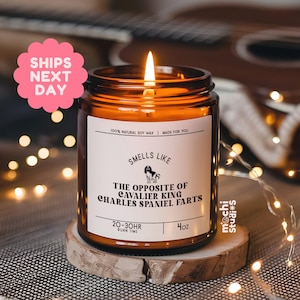 Cavalier King Charles Spaniel Farts Gift - Funny Cavalier King Charles Dog Spaniel Dog Mom, Dad Gift - Soy Wax Scented Candle MC-304