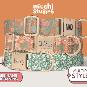 Vintage Floral Dog Collar Personalized, Custom Dog Collar with Name, Boho Floral Print Dog Collar, Collar Leash Set, Metal Buckle DC-069