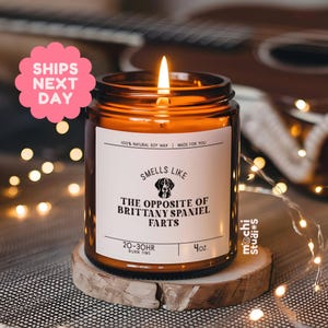 Smells Like the Opposite of Brittany Spaniel Farts. Funny Brittany Spaniel Dog Mom, Dad Gift - Soy Wax Scented Candle MC-312