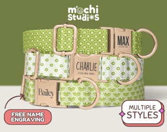 Green Kiwi Fruit Pattern Personalized Dog Collar - Custom Name, Phone Number, Metal Buckle, Kiwi Collar and Leash Set, Gift for Dogs DC-005