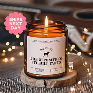 Smells Like the Opposite of Pit Bull Farts Funny Pit Bull Dog Mom, Dad Gift - Gift for Pit Bull Owner - Soy Wax Scented Candle MC-336