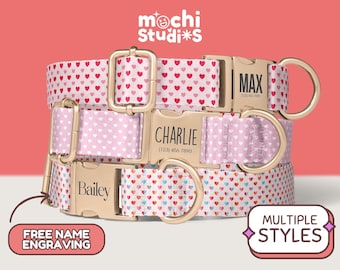 Personalized Dog Collar - Valentines Hearts, Love Valentines, Pink Hearts Name & Phone Number, Metal Buckle, Collar Leash Set DC-003