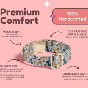 Boy Dinosaur Print Dog Collar, Personalized Dino Dog Collar, Dinosaur Pattern Collar Leash Set, Metal Buckle Engraved Dog Collar DC-094 Bild 3