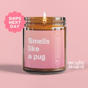 Pug Dog Gifts, Pug Mom, Pug Lovers, Pug Lover Gift, Pug Mom Gift, Dog Mom Pug Gift, Pug Lover Mom, Funny Dog Gifts, Dog Gifts MC-757