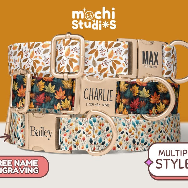 Boho Autumn Fall Pattern Personalized Dog Collar - Custom Name, Phone Number, Collar and Leash Set, Gift for Dogs - Autumn Theme DC-011