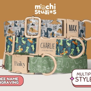 Boy Dinosaur Print Dog Collar, Personalized Dino Dog Collar, Dinosaur Pattern Collar Leash Set, Metal Buckle Engraved Dog Collar DC-094