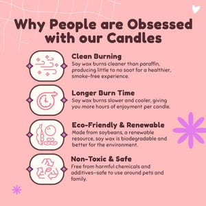 Smells Like Empty Nesters Soy Wax Candle, Gift For Empty Nesters, Kids Off To College Gift, Empty Nesters Gift, Eco Friendly Candle MC-198 image 7