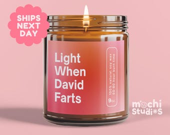 Light When Farts Funny Gift for Dad - Dad Joke Gifts from Daughter, Children - Funny Candle - Soy Wax Scented Candle MC-664