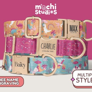 Girl Dinosaur Print Dog Collar, Personalized Dino Dog Collar, Dinosaur Pattern Collar Leash Set, Metal Buckle Engraved Dog Collar DC-088