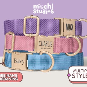 Pastel Colors Personalized Dog Collar, Purple, Pink, Blue, Pattern Dog Collar with Name, Metal Buckle, Matching Leash Set DC-056