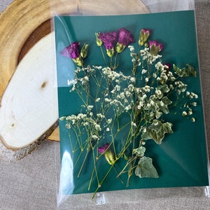 May include: A pressed flower arrangement on a green background. The arrangement features pink flowers and white baby's breath.